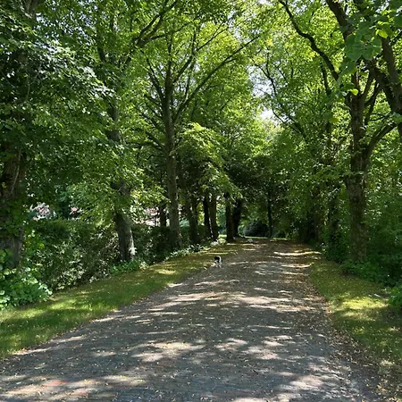 Im Idyllischen Gulfhof *